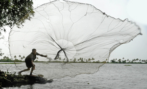 72_Extreme_Kuttanad
