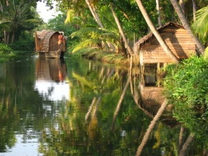 Kerala_backwater_scene            